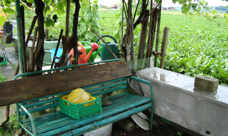 Unser Garten Eden - Filmszene